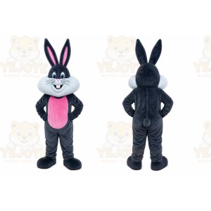 Gray Rabbit Heart Mascot Costume