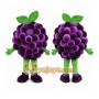 Purple Grape Mascot Costume