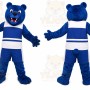Blue Bear Sports Mascot Costume