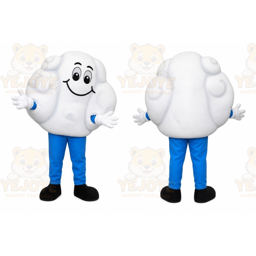 Cloud Character Mascot Costume