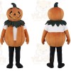 Orange Pumpkin Mascot Costume