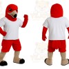 Red Bird Mascot Costume