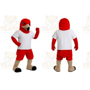 Red Bird Mascot Costume