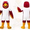 Red Bird Mascot Costume