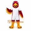 Red Bird Mascot Costume Red Bird Mascot Costume