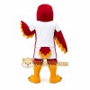 Red Bird Mascot Costume Red Bird Mascot Costume