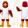 Red Bird Mascot Costume