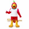 Red Bird Mascot Costume Red Bird Mascot Costume