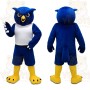 Blue Owl Mascot Costume