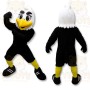 Black Bird Mascot Costume