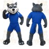 Blue Wolf Mascot Costume