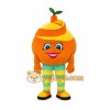 Orange Fruit Mascot Costume Orange Fruit Mascot Costume