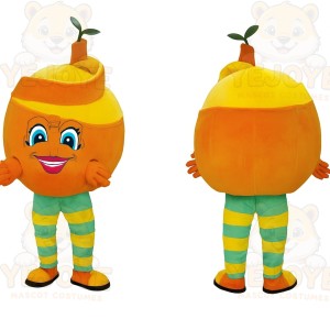 Orange Fruit Mascot Costume
