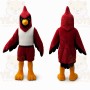 Red Bird Mascot Costume