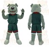 Gray Dog Mascot Costume