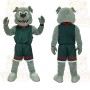 Gray Dog Mascot Costume
