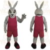 Gray Rabbit Mascot Costume