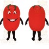 Red Tomato Mascot Costume