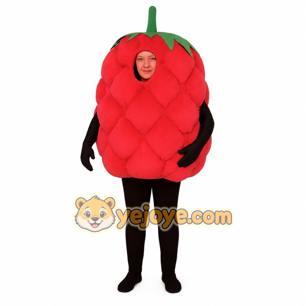Red Raspberry Mascot Costume Red Raspberry Mascot Costume