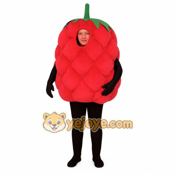 Red Raspberry Mascot Costume