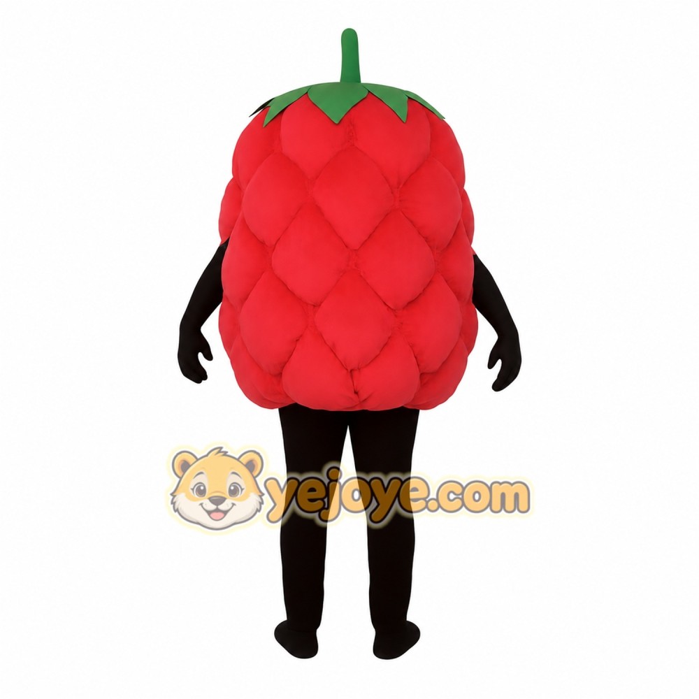 Red Raspberry Mascot Costume Red Raspberry Mascot Costume