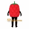 Red Raspberry Mascot Costume Red Raspberry Mascot Costume