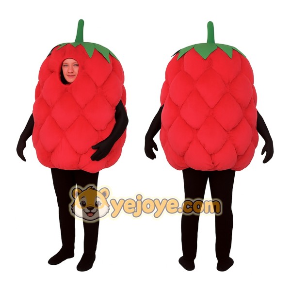 Red Raspberry Mascot Costume