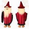 Red Wizard Mascot Costume