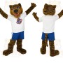 Brown Black White Blue Tiger Mascot Costume