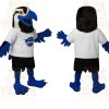 Blue Black White Eagle Mascot Costume