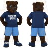 Brown Blue Bear Mascot Costume
