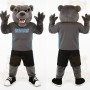 Gray Black Athletic Bear Mascot Costume