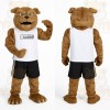 Brown White Bulldog Mascot Costume