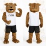 Brown White Bulldog Mascot Costume