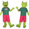 Lime Green Teal Pink Frog Mascot Costume