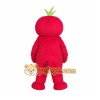 Red Green Tomato Mascot Costume Red Green Tomato Mascot Costume