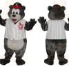 Gray Black Baseball Bear Mascot Costume