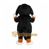 Black White Brown Mountain Dog Mascot Costume Black White Brown Mountain Dog Mascot Costume