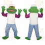 Green Purple Frog Mascot Costume