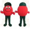 Red Green Smiling Tomato Mascot Costume
