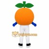 Orange Green Orange Fruit Mascot Costume