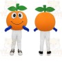 Orange Green Orange Fruit Mascot Costume