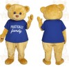 Golden Blue Teddy Bear Mascot Costume