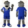 Gray Blue Sports Wolf Mascot Costume