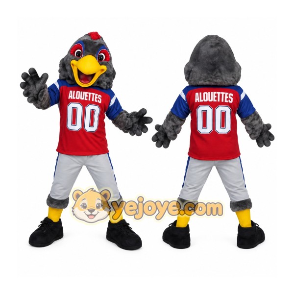 Gray Yellow Red Blue Bird Mascot Costume