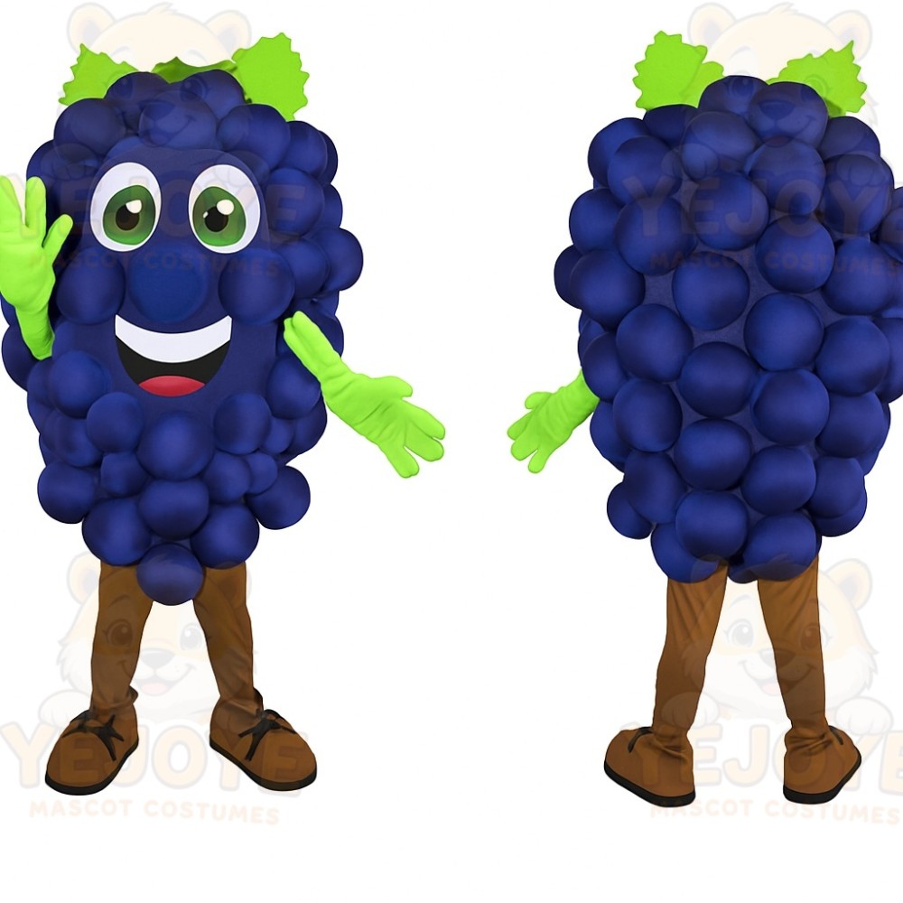 Purple Green Grape Mascot Costume