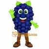 Purple Green Grape Mascot Costume Purple Green Grape Mascot Costume