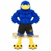 Blue Yellow Black Muscular Eagle Mascot Costume