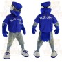 Blue Gray White Blue Jay Mascot Costume