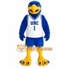Blue Yellow Eagle Basketball Mascot Costume